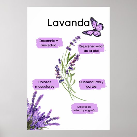 Lavanda y sus Beneficios en español Poster (Voorkant)