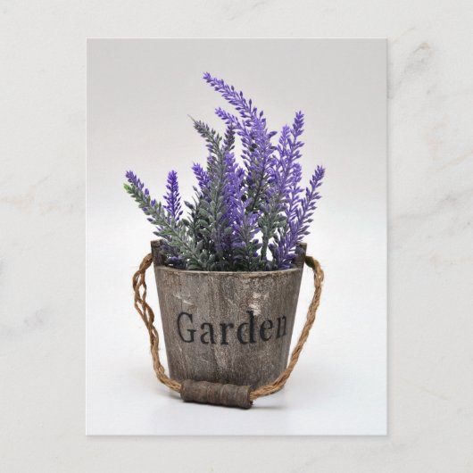 lavander briefkaart (Voorkant)