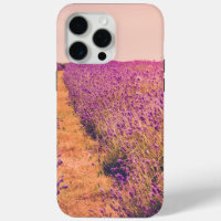 Lavander