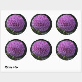 Lavander Dahlia Ronde Sticker (Vel)