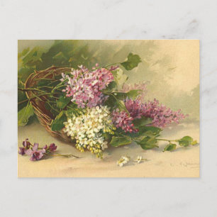 Lavander en White Beauty Briefkaart