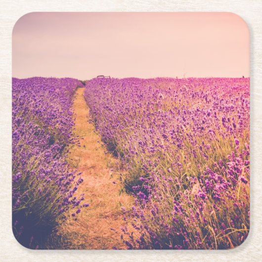 Lavander Kartonnen Onderzetters (Voorkant)