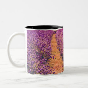 Lavander Tweekleurige Koffiemok