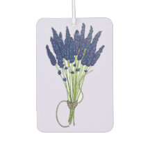 Lavandula Lavender Bunch Herb Paarse bloemtuin