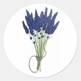 Lavandula Lavender Bunch Herb Paarse bloemtuin Ronde Sticker