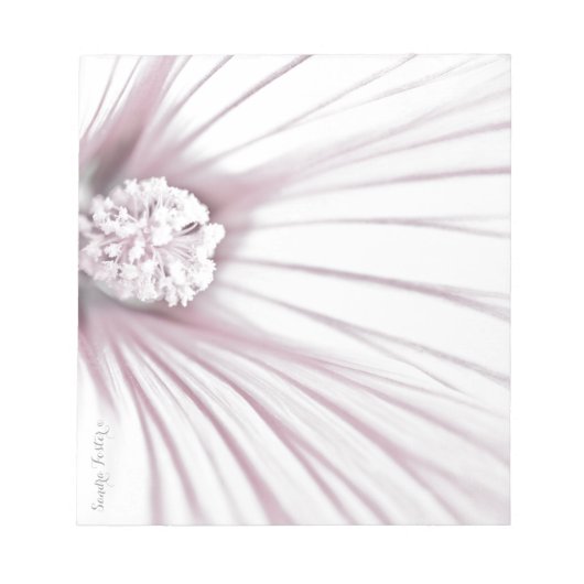 Lavatera Flower Macro Notitieblok (Voorkant)