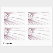 Lavatera Flower Macro Rechthoekige Sticker (Vel)