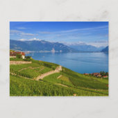 Lavaux regio, Vaud, HDR Briefkaart (Voorkant)