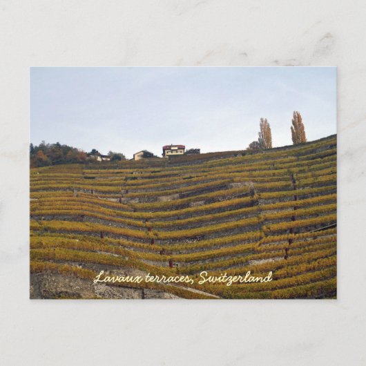 Lavaux terraces briefkaart (Voorkant)
