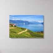 Lavaux, Vaud, Zwitserland Canvas Afdruk (Voorkant)