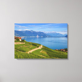 Lavaux, Vaud, Zwitserland Canvas Afdruk
