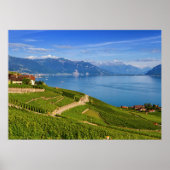 Lavaux, Vaud, Zwitserland Poster (Voorkant)