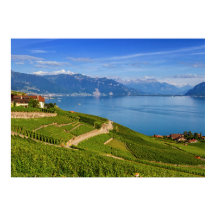 Lavaux, Vaud, Zwitserland