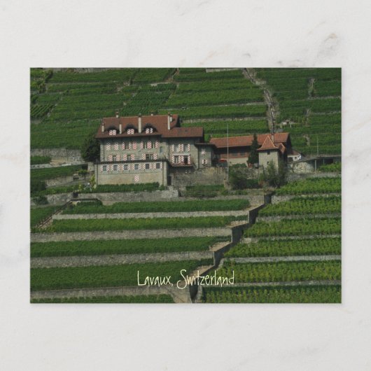 Lavaux, Zwitserland Briefkaart (Voorkant)