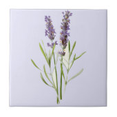 lavenaars tegeltje (Voorkant)