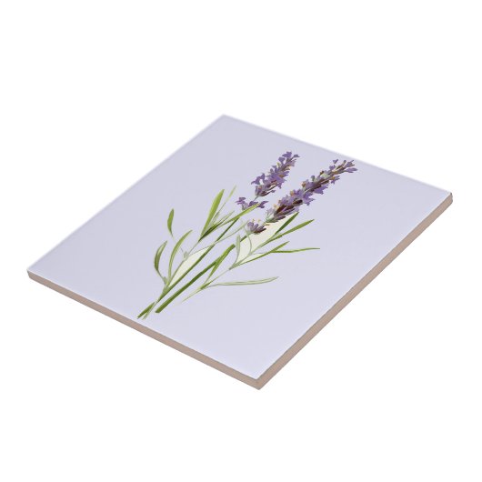  lavenaars tegeltje (Zijkant)