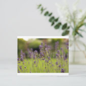 lavenblauw briefkaart (Staand voorkant)