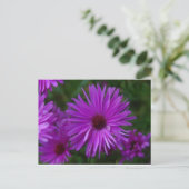 Lavendar Aster Briefkaart (Staand voorkant)