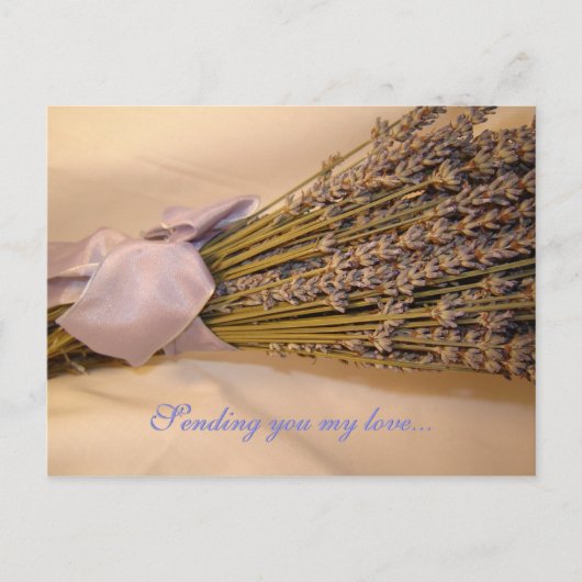 Lavendar-Briefkaart Briefkaart (Voorkant)