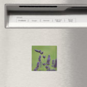 Lavendar Floral Magnet (Insitu (Vaatwasser))