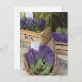 Lavendar for sale, Provence, Frankrijk Briefkaart (Voorkant / Achterkant)