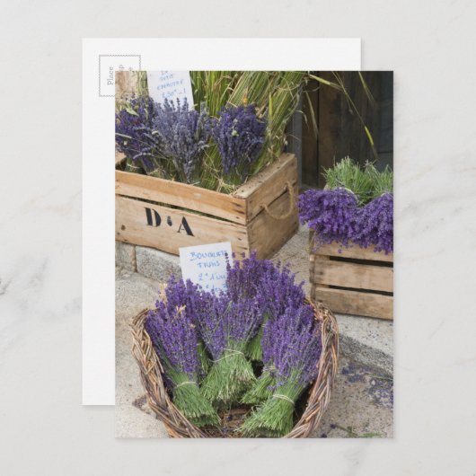 Lavendar for sale, Provence, Frankrijk Briefkaart (Voorkant / Achterkant)