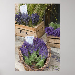 Lavendar for sale, Provence, Frankrijk Poster