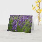 Lavendar | Lavendel Kaart (Gele Bloem)
