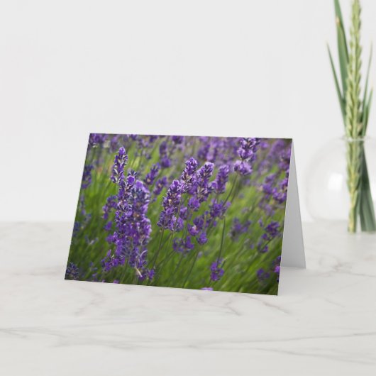 Lavendar | Lavendel Kaart (Voorkant)