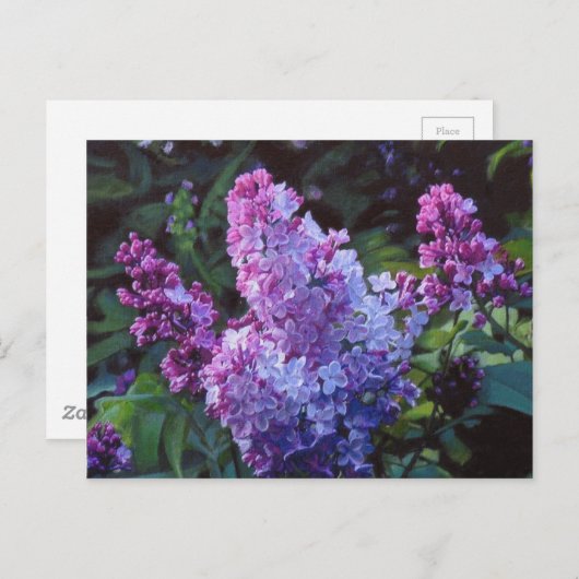 Lavendar Lilacs Briefkaart (Voorkant / Achterkant)