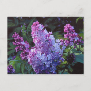 Lavendar Lilacs Briefkaart