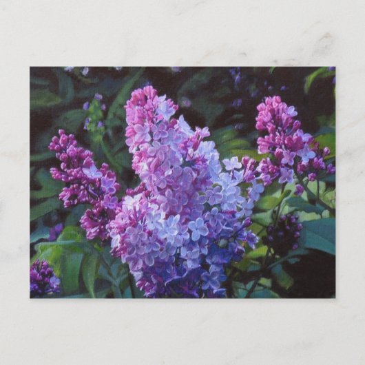 Lavendar Lilacs Briefkaart (Voorkant)