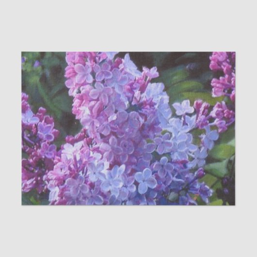 Lavendar Lilacs Tissuepapier (Voorkant)