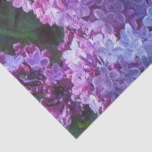 Lavendar Lilacs Tissuepapier (Detail)