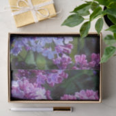 Lavendar Lilacs Tissuepapier (Geschenk)
