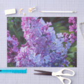 Lavendar Lilacs Tissuepapier (Craft)