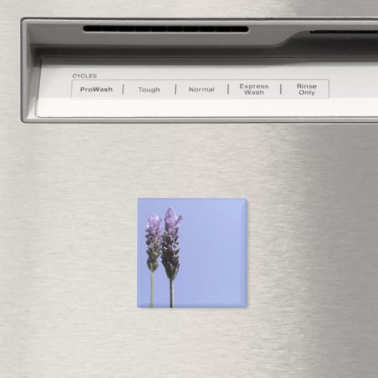 Lavendar Magnet (Insitu (Vaatwasser))