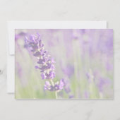 Lavendar • Opslag Bericht Aankondiging (Achterkant)