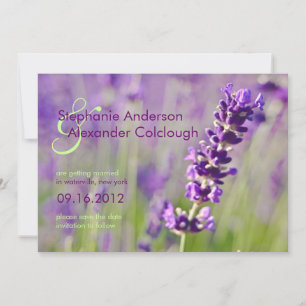 Lavendar • Opslag Bericht Aankondiging