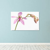 Lavendar Paarse Orchid Canvas Afdruk (Insitu (Houten vloer))