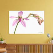 Lavendar Paarse Orchid Canvas Afdruk (Insitu (Woonkamer))