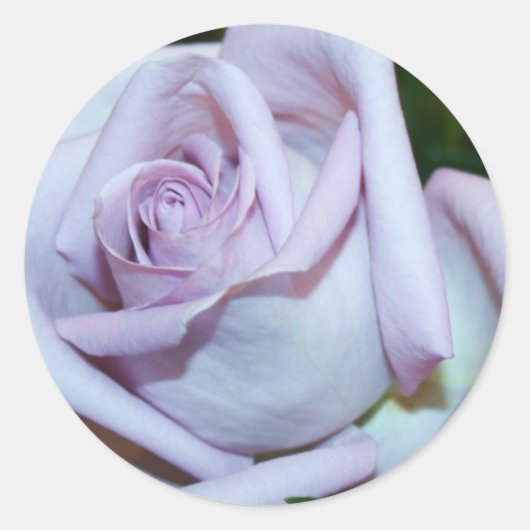 Lavendar Roos Envelope Seals & Stickers (Voorkant)