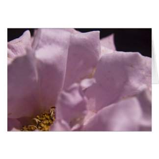 Lavendar Roos Petals Card
