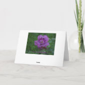 Lavendar Rozen/Get Well Kaart (Achterkant)