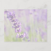 Lavendar · Save the Date Briefkaart (Achterkant)