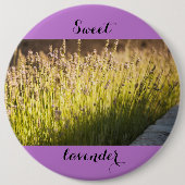 Lavendebloei Ronde Button 6,0 Cm (Voorkant)