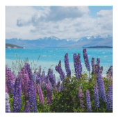 Lavendel aan de oever van het meer perfect poster (Voorkant)