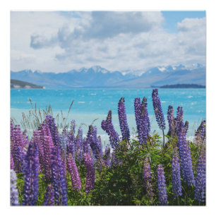 Lavendel aan de oever van het meer perfect poster