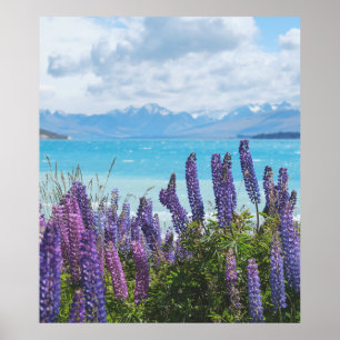Lavendel aan de oever van het meer poster