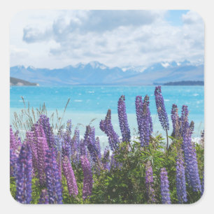 Lavendel aan de oever van het meer vierkante sticker